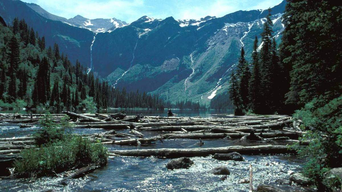 The Kansas woman who drowned after a fall at Glacier National Park has been identified as University of Kansas graduate student Atheer Abdulrahman Alquahtani, according to the National Park Service.