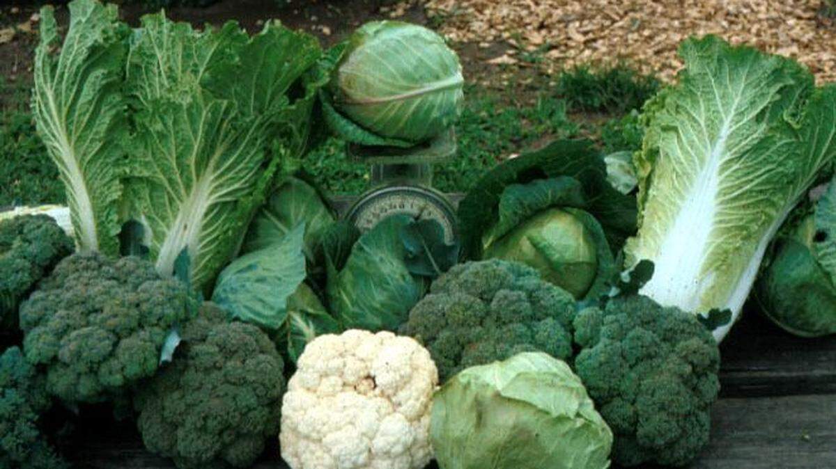 Vegetables that ripen during cool, fall days often taste better than those grown in the hot, dry days of summer. Insects, diseases and weeds also tend to be less of an issue in fall.