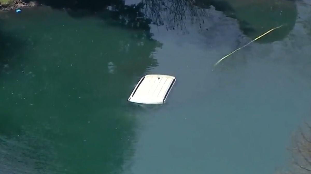 A landscaper jumped in an Illinois pond to help rescue a person who crashed, fire officials said.