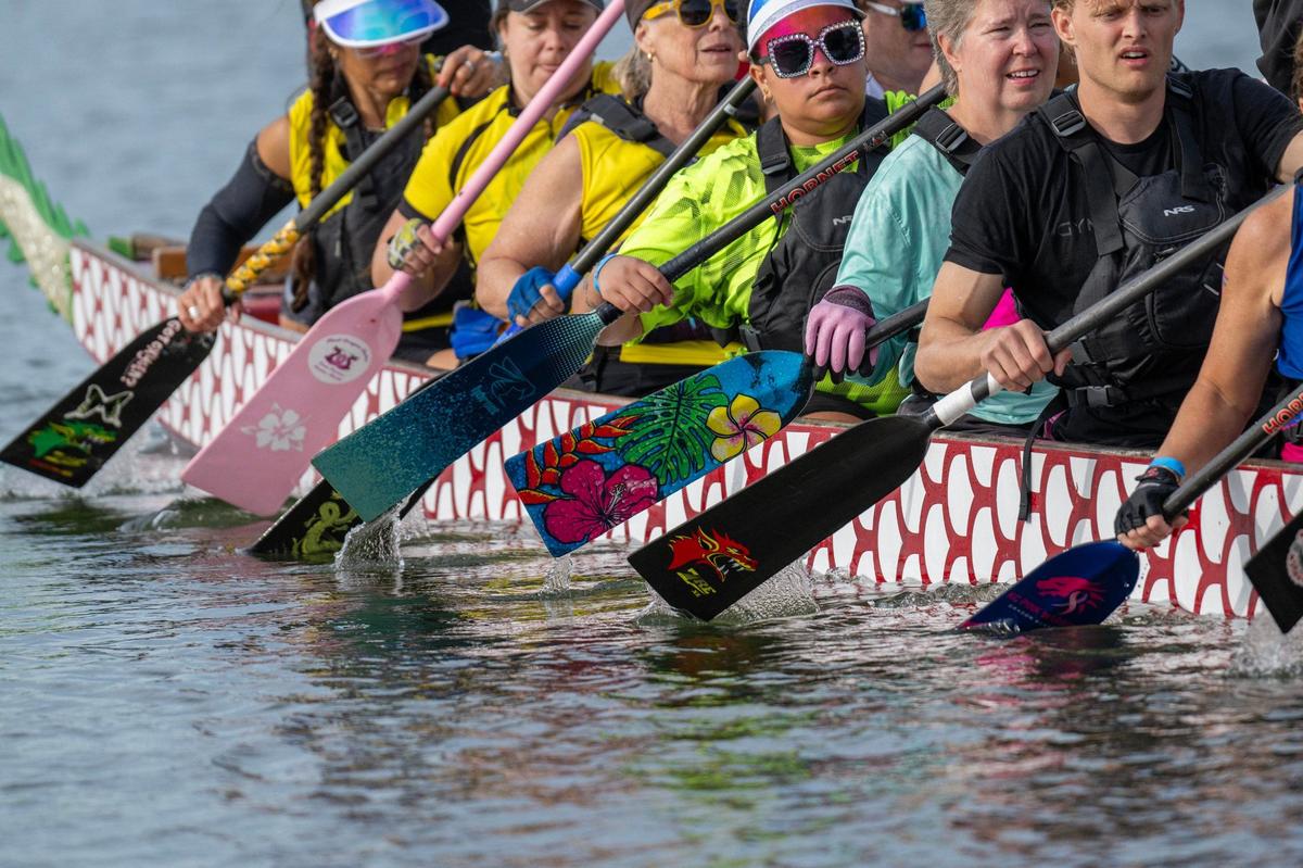 A variety of customized oars from the crew members of Phantom Dragons are seen as they row back to the dock after a qualifying race during the KC Dragon Boat Festival on Saturday, Sept. 28, 2024, at Shawnee Mission Park.