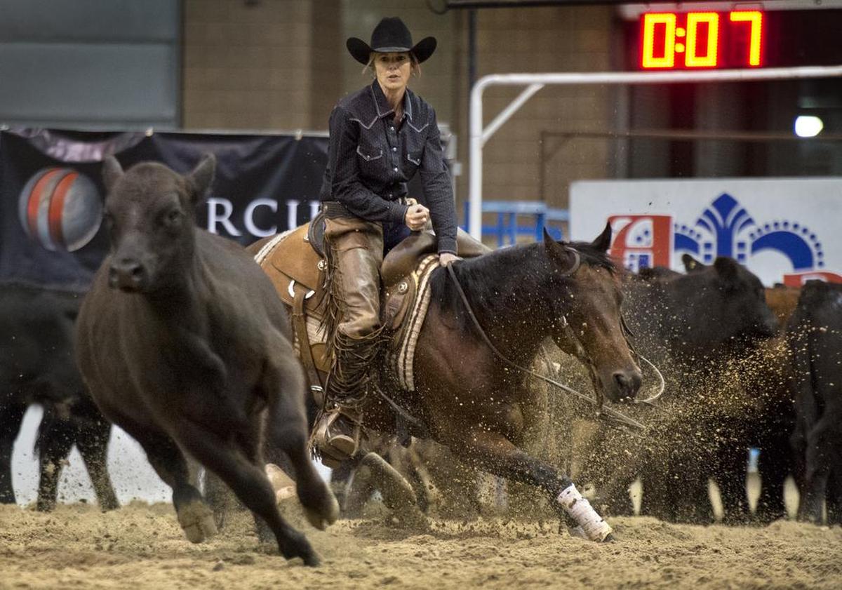 A heifer cut from the herd was kept from returning by Cathy Wunder of Stillwell and her horse, Chukas Dream Cat, as they competed on Thursday, Nov. 6, 2014, in the $50,000 amateur class of the American Royal's cutting horse show. Show finals are 6:30 p.m. on Friday in Hale Arena.