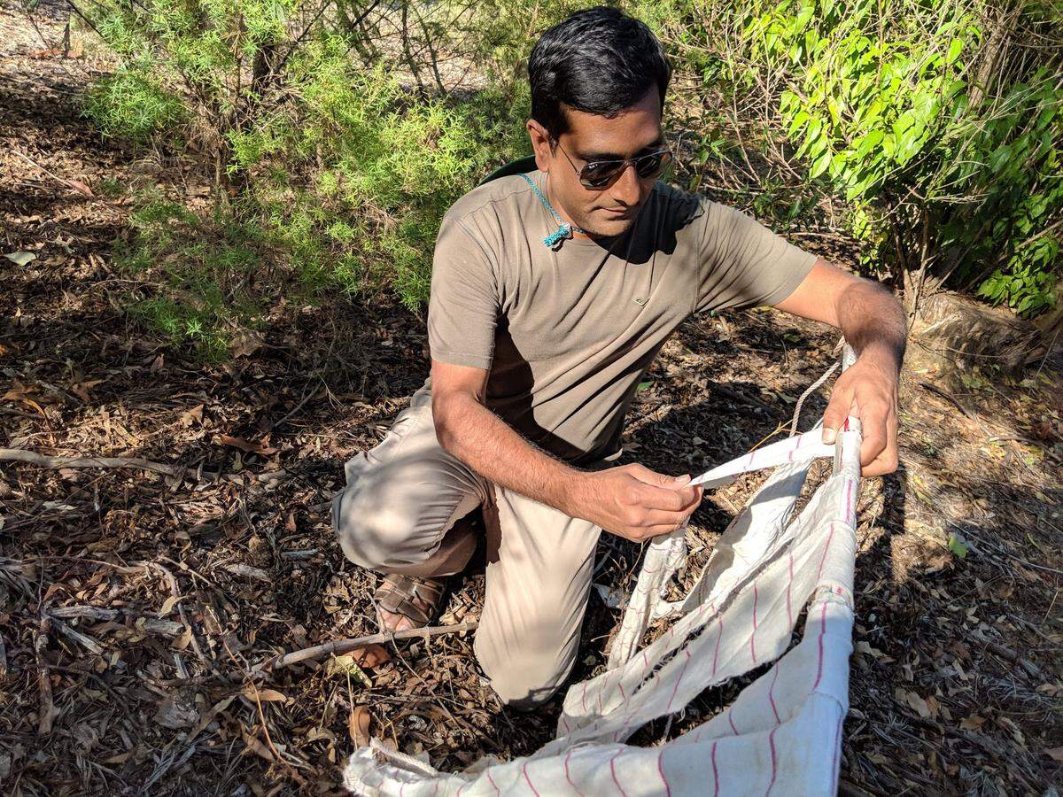 University of Missouri epidemiologist Ram Raghavan spent three years collecting ticks around Pittsburg, Kansas.