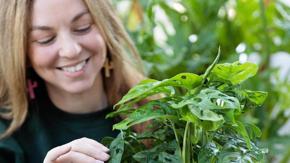 Dee Ferguson will open a new tropical plant store in the Kansas City’s West Side area in July.