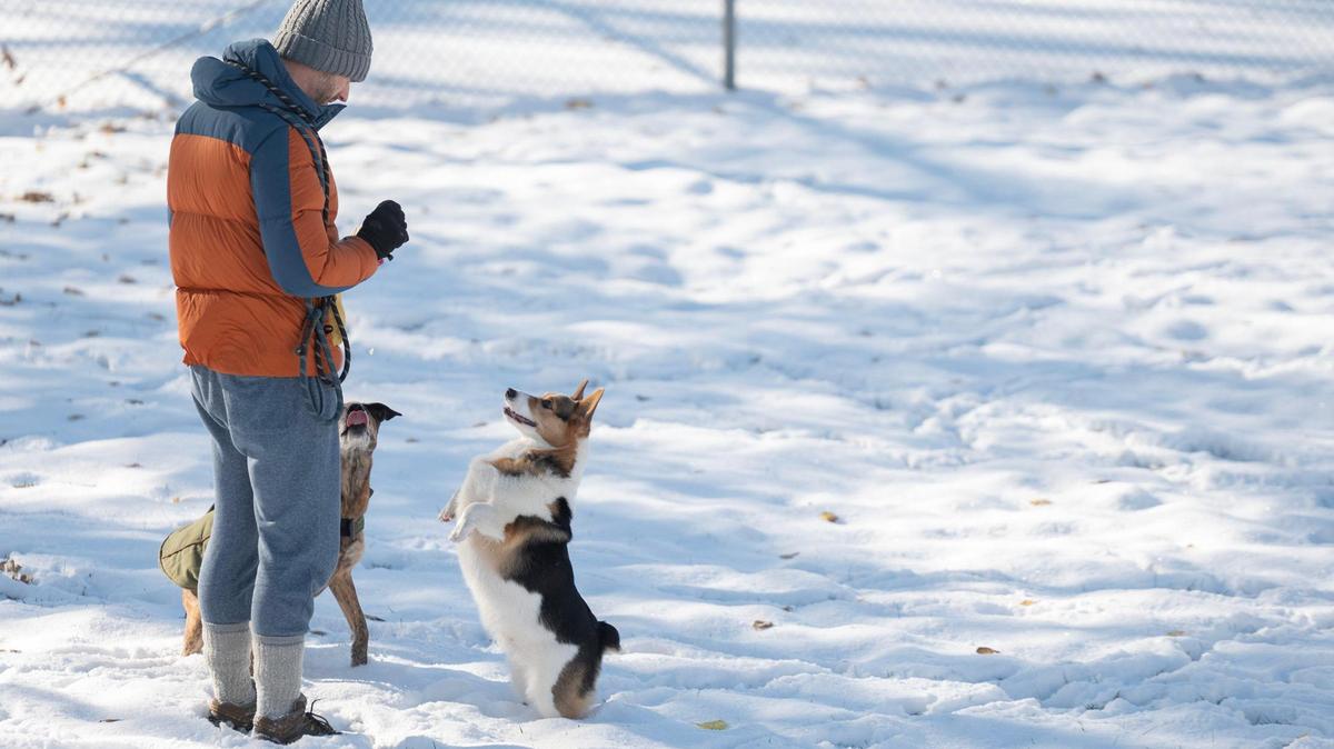 A local resident plays with their dogs near the tennis courts at Hyde Park following Kansas City’s first snowfall of the season on Sunday. At Kansas City International Airport (MCI), 2.2 inches of snow fell, according to the National Weather Service.