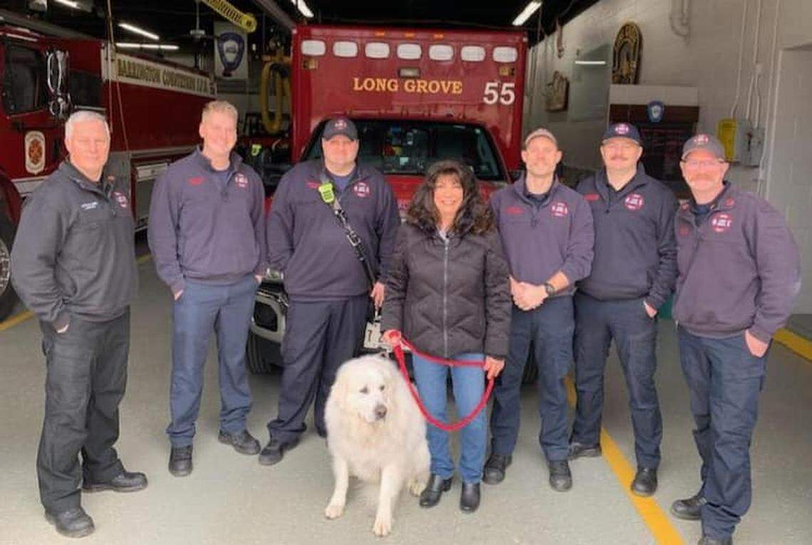 Belle visited the Long Grove fire department on Monday, Feb. 5. Photo from the Long Grove fire department