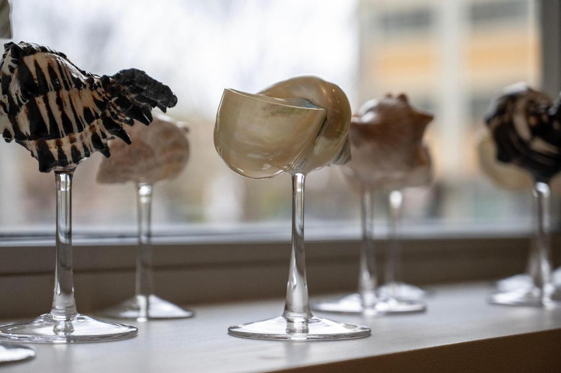 Decorative sea shells adorn a window ledge at Aqua Penny’s in Leawood’s Park Place.