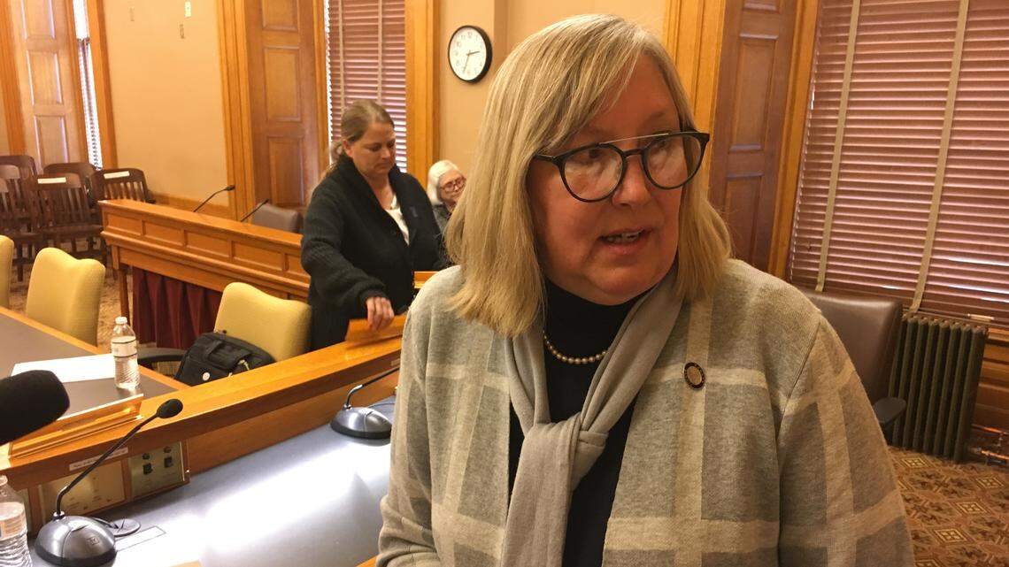 Sen. Molly Baumgardner, R-Louisburg, speaks to reporters following a hearing on an education bill.