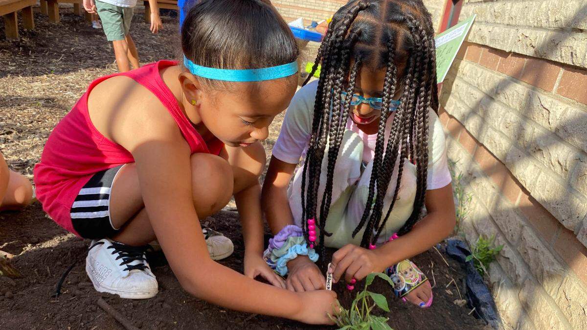Averi Crutcher-Noffsinger and Liliana Love plant some crops as part of a farm-to-table curriculum at Heatherstone Elementary School.
