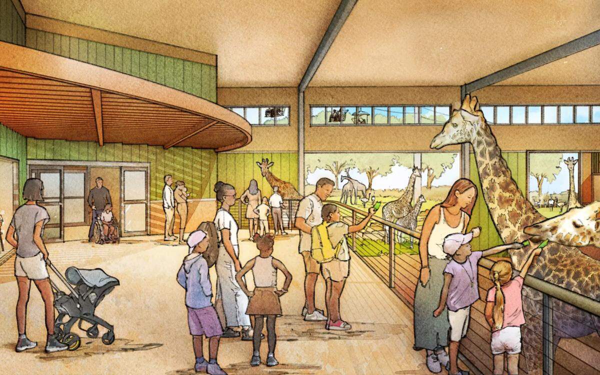 A rendering of the new Kansas City Zoo & Aquarium Giraffe Crossing exhibit. The zoo plans to unveil and open the exhibit to the public on May 22.