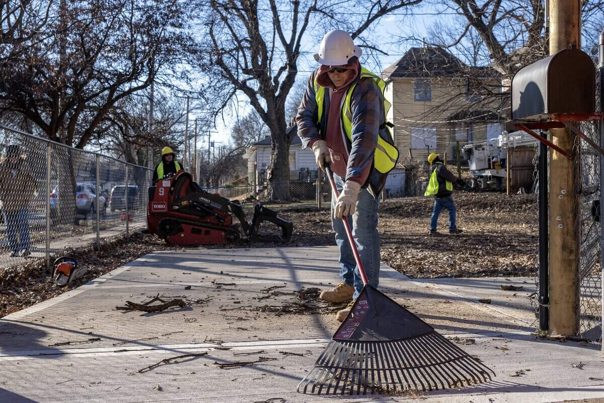 A tree removal crew rakes branches cut from a section of a 250-year-old bur oak during its removal on Wednesday, Jan. 14, 2026, in the Northeast neighborhood of Kansas City.