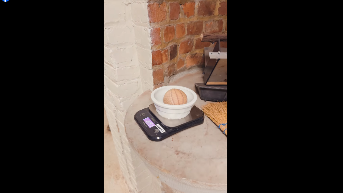 A baby armadillo was about the size of a golf ball when it was born at the Toledo Zoo.