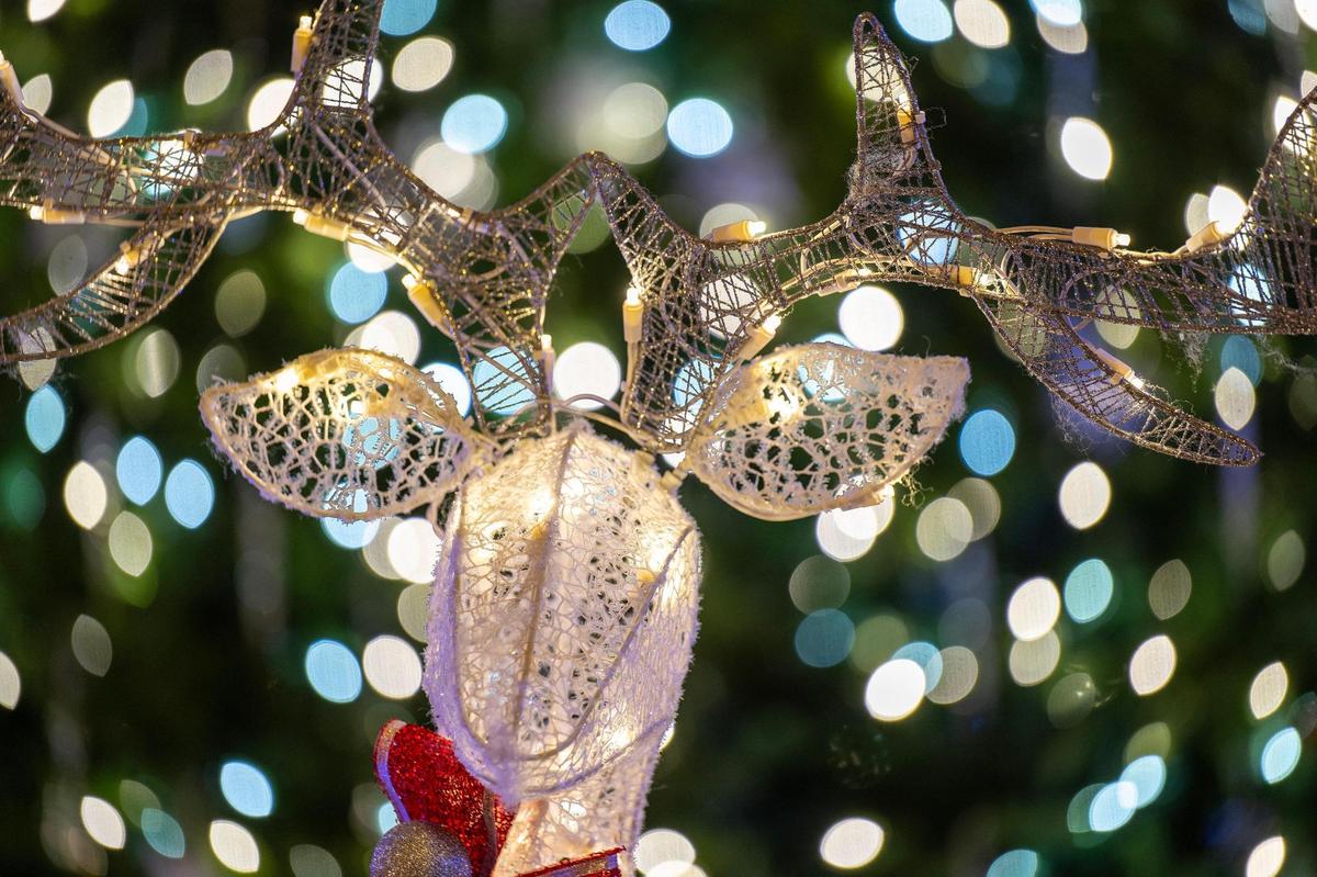 A reindeer is illuminated at the Holiday Reflections display in Union Station’s Grand Plaza.