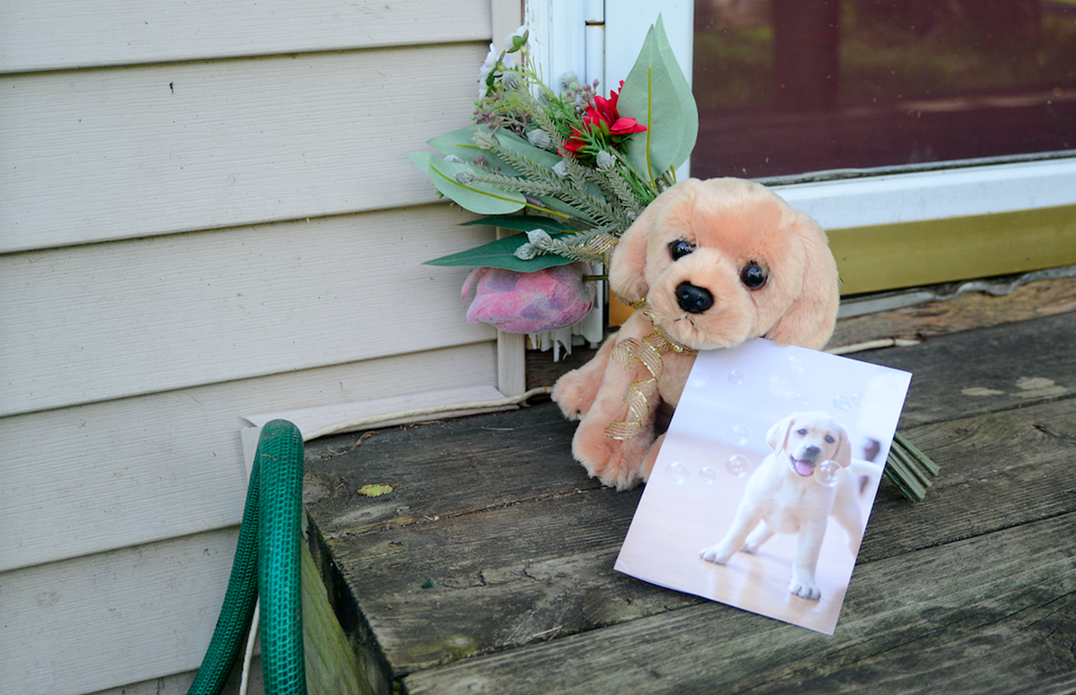 At a home in the 8300 block of Tracy Avenue in Kansas City where a shooting killed an 8-year-old boy and injured his mother, someone left a stuffed dog and flowers on the front porch. With it was a letter offering prayers and condolences to the mother.&nbsp;