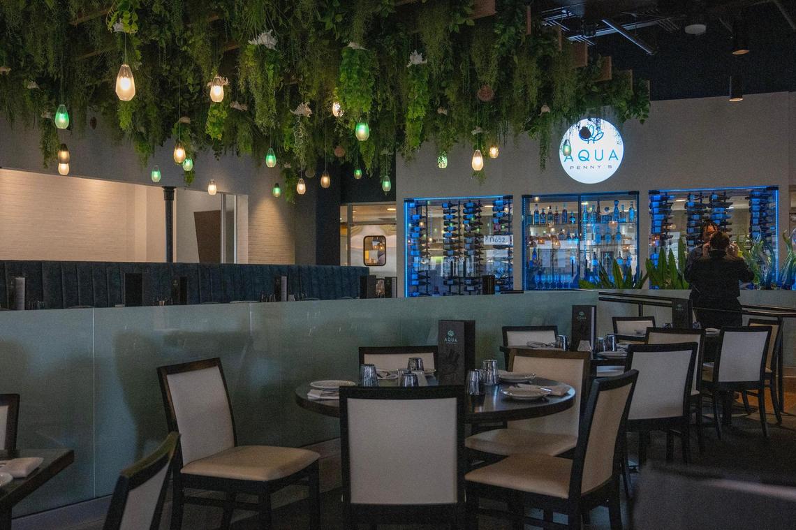 Decorative foliage hangs from the ceiling above the dining area at Aqua Penny’s.