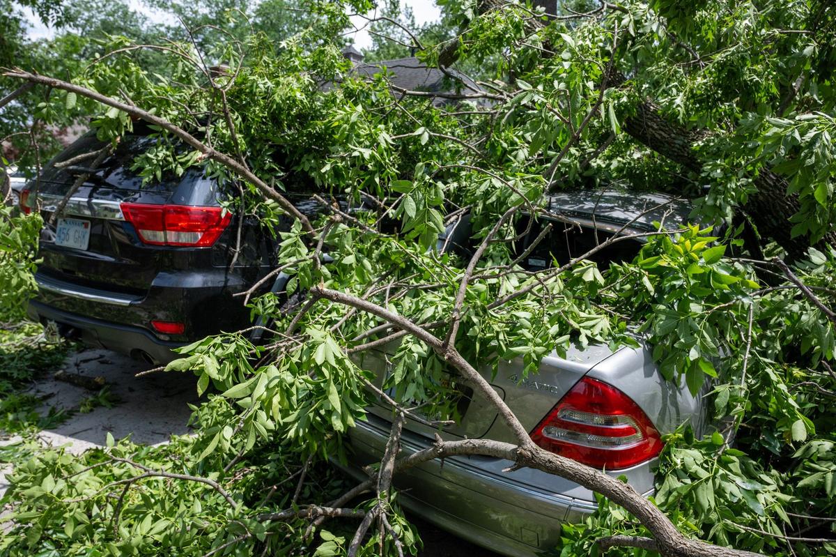 Down tree limbs covered three vehicles in the 8700 block of Conser Street in Overland Park on Monday. A strong storm moved through the area about 10:30 Sunday night causing the damage.