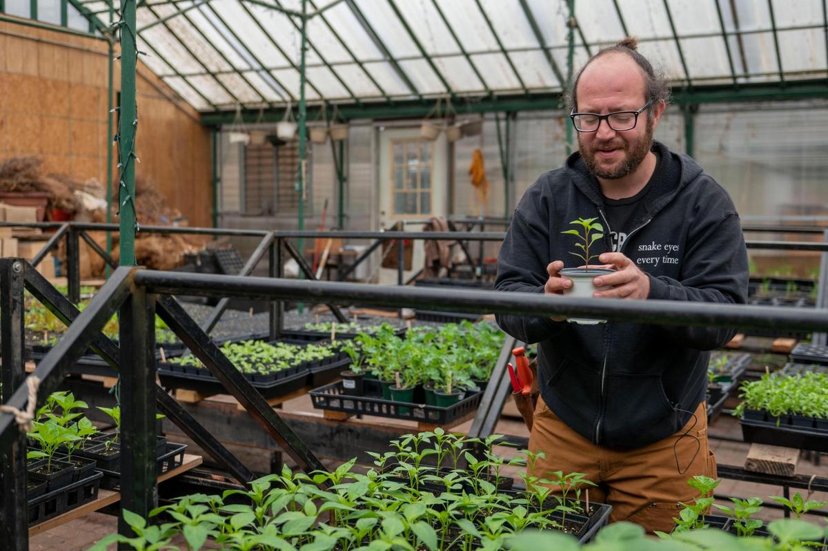 Nicolas Garcia examines a pepper plant at Treehouse Urban Farm greenhouse in Kansas City. As a grower and a consultant, Garcia has helped home gardeners.