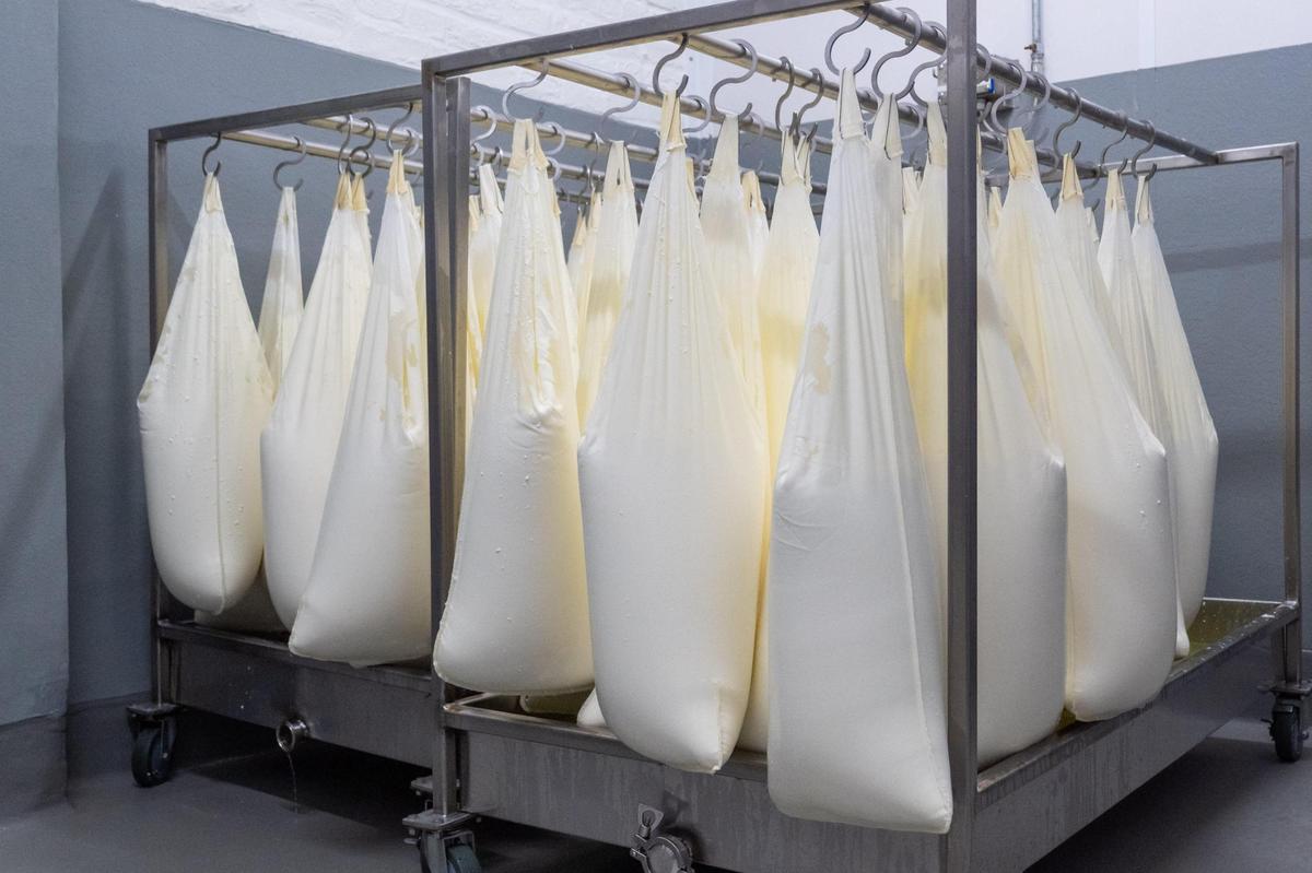 Bags of fresh cheese hang to further drain excess whey. Some of the cheese made at Green Dirt on Oak is lightly processed and used immediately in their kitchen just a few feet away.