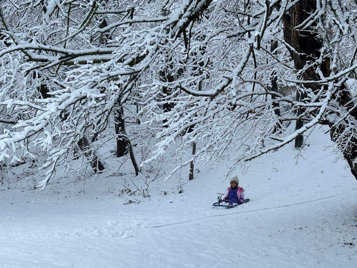 Families sledded in Roanoke Park Tuesday morning after a winter storm hit the Kansas City area. The National Weather Service reported that around 5 inches of snow fell in the Kansas City metro area on Jan. 8 and 9, 2024.