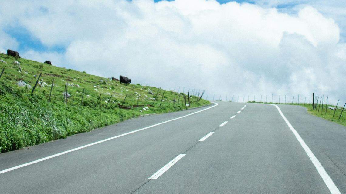 A Missouri mother driving her son to baseball practice found an unexpected passenger nestled into the hood of her vehicle.