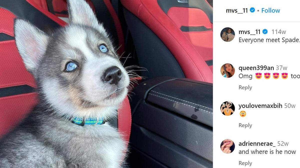 Marquez Valdes-Scantling’s dog Spade.