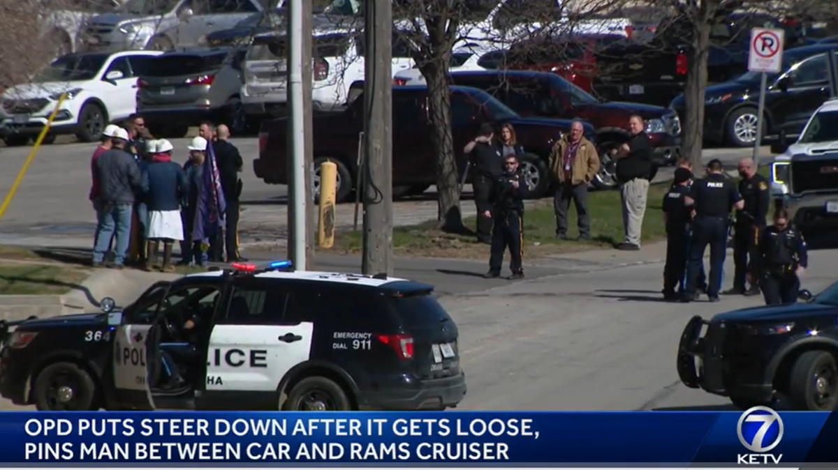 An escaped steer went on a rampage in Omaha, Nebraska, according to police.