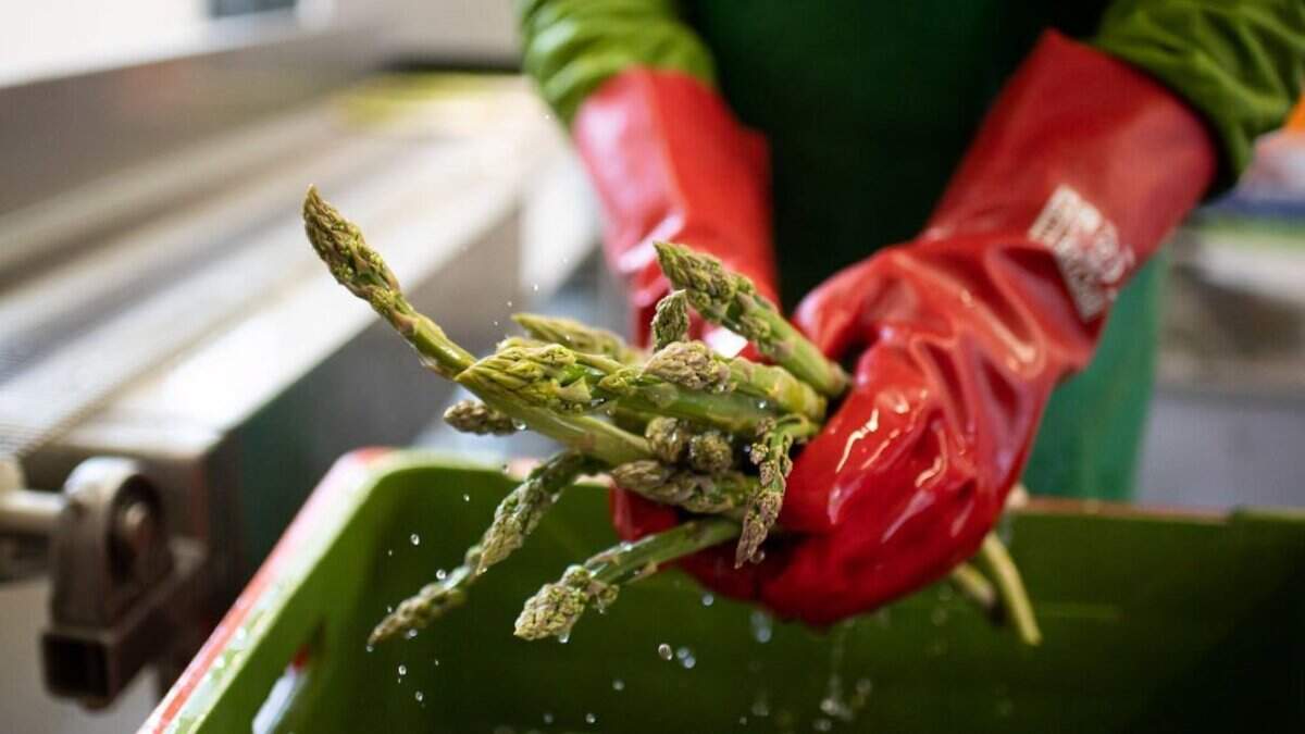 thoroughly washing all produce, especially those that have nooks and crannies where contaminants can get trapped, is recommended to combat Cyclospora.