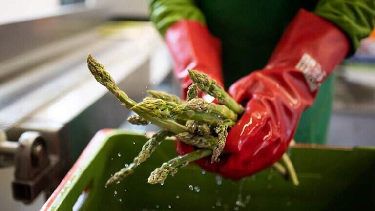 How to prevent Cyclospora contamination in your local garden produce