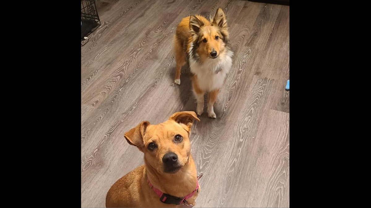 Shorty and Cleo