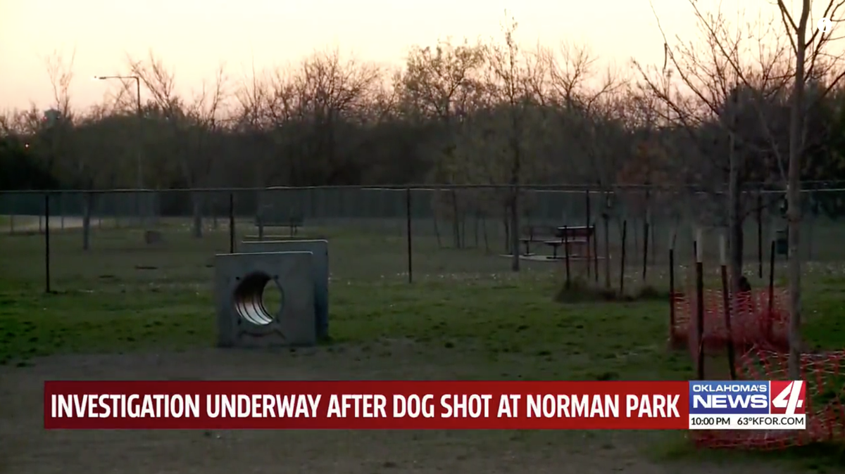 Police say a dog owner shot another person’s dog at a Norman, Oklahoma, dog park.