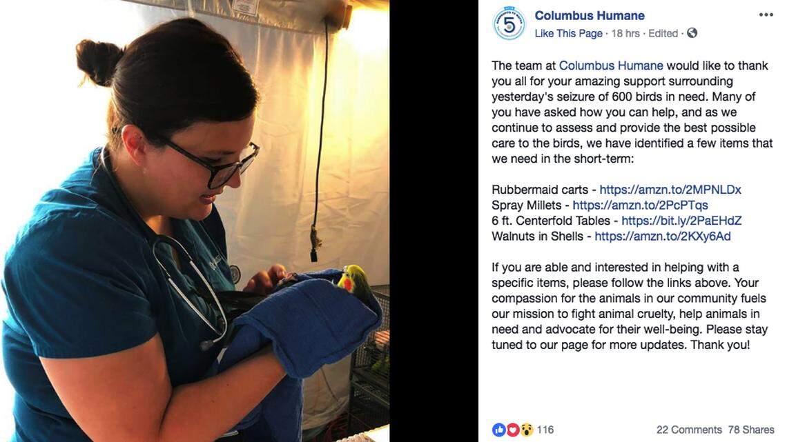 The ASPCA and the humane society in Columbus, Ohio rescued more than 600 birds from crowded conditions in a 1,000-square-foot home. They found parakeets, cockatiels and large exotic parrots, said the ASPCA.