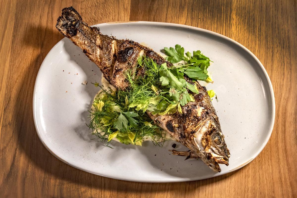 Lazia’s hearth-roasted branzino with oregano aioli, fennel and herbs.