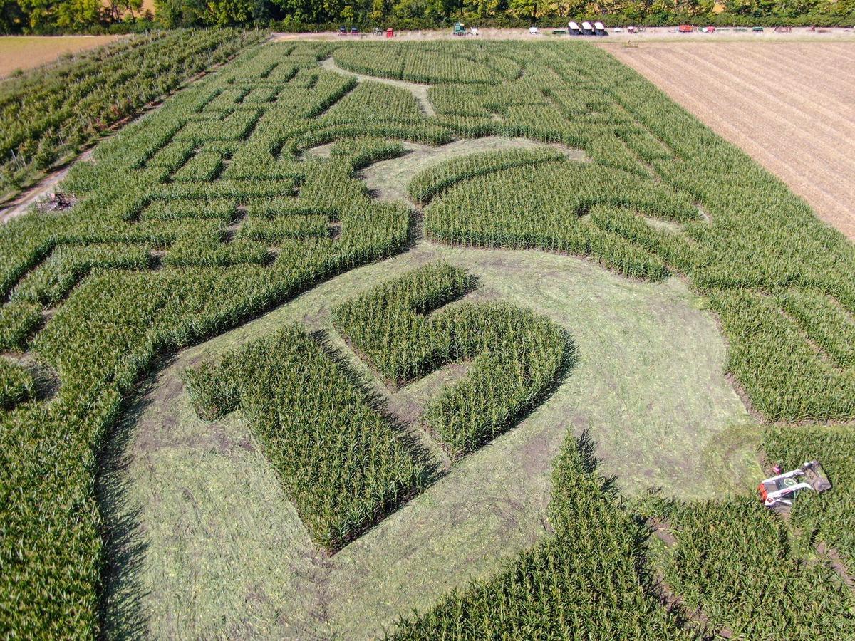 Rob Stouffer from Precision Mazes of Lee’s Summit cuts a swath of corn for a Chiefs-themed corn maze on Monday, Sept. 16, 2024, at Johnson Farms Plants and Pumpkins, a 140-acre U-pick and family fun farm in Belton, Missouri. Some of the features of the design include the Lombardi Trophy and a goat with the number 15.