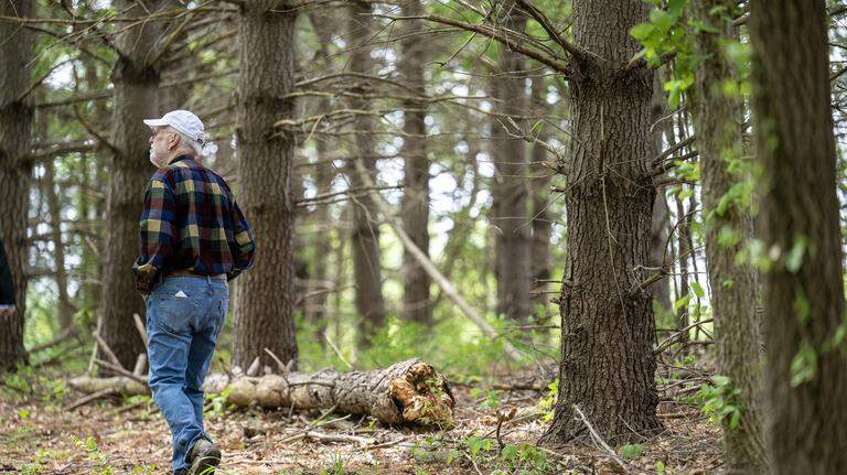 KC architect aims to restore decades-old, heart-shaped forest ahead of World Cup