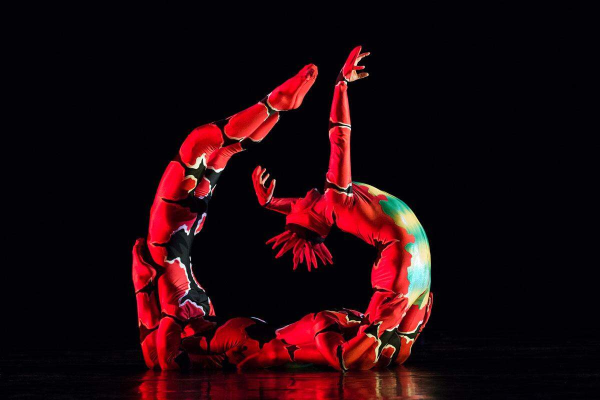MOMIX will perform its version of “Alice in Wonderland” at the Kauffman Center on Feb. 15.
