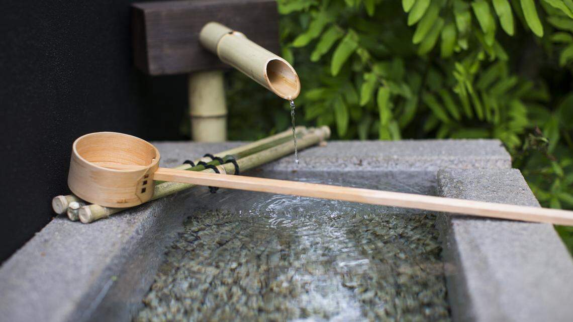 a water structure in a garden.
