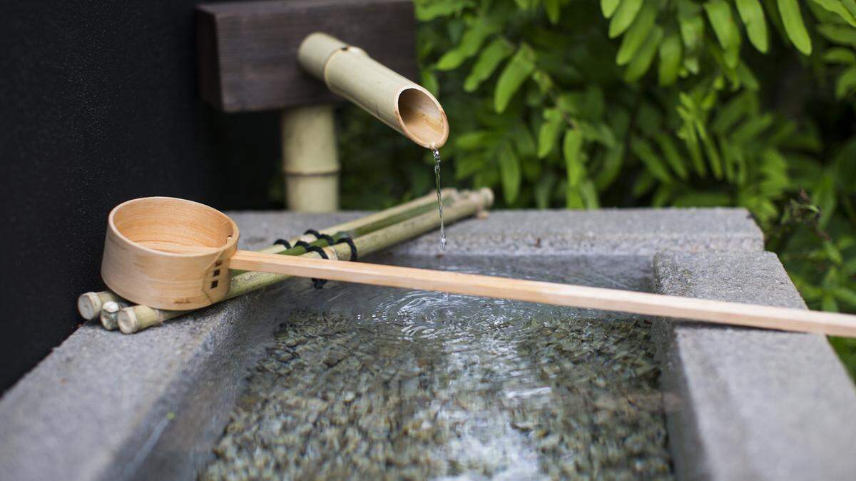 a water structure in a garden.