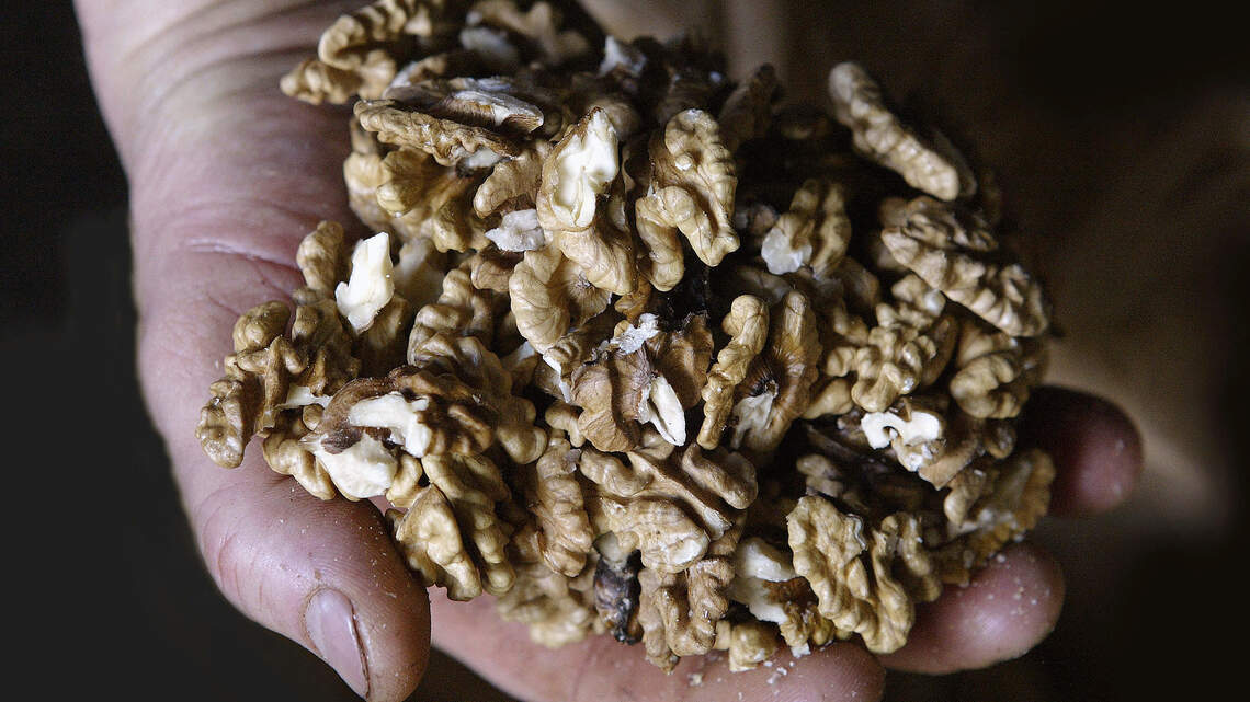 Bedtime snacks that help you sleep better and which 3 foods you should actually avoid at night