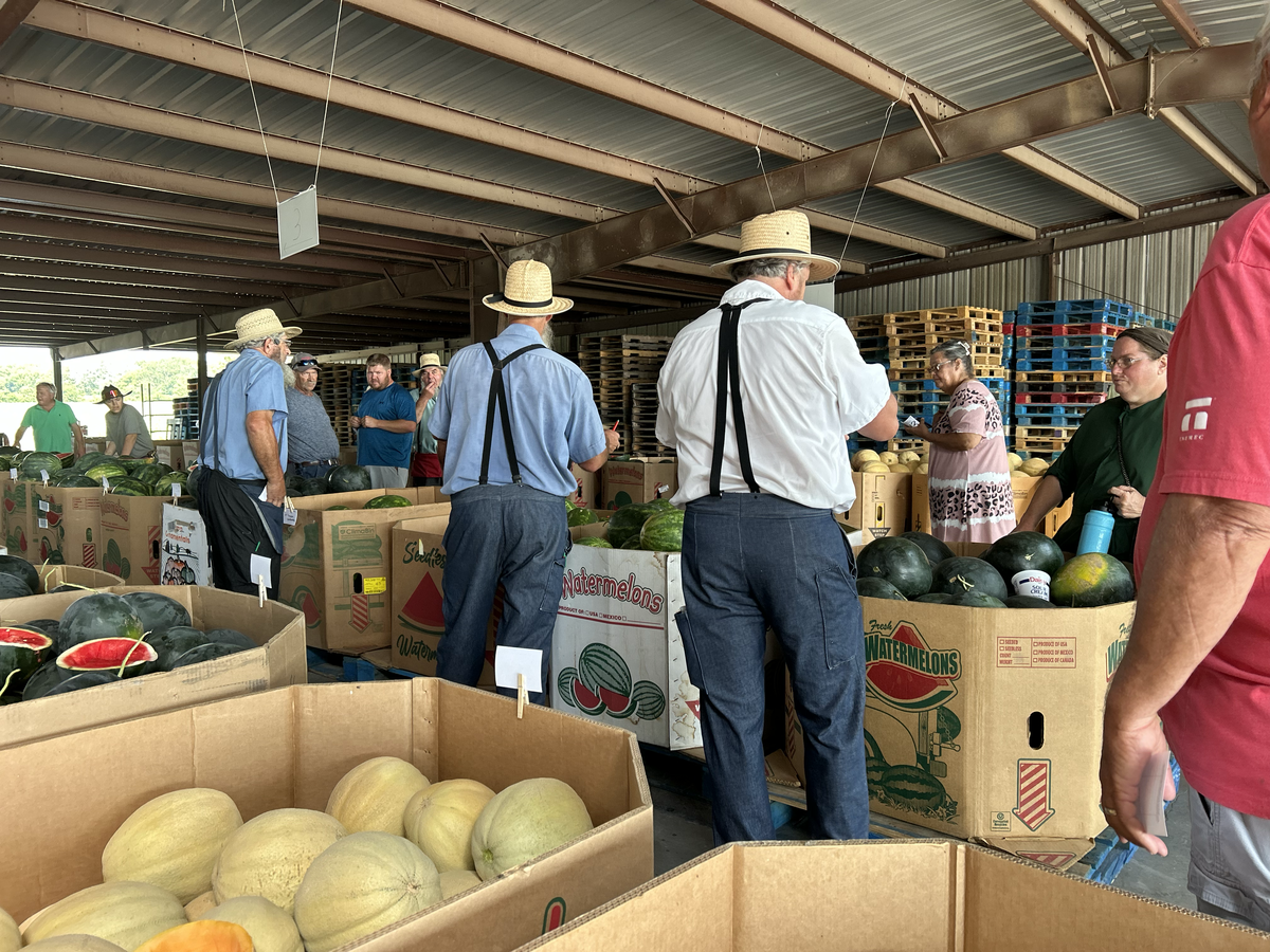 Gingerich (far left with back turned) and Ropp (far right with back turned) help run a recent produce auction.