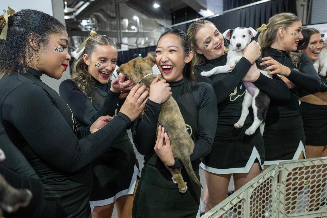 Cheerleaders for the Colorado Buffaloes, including Jackie Ocken, center, shared snuggles with puppies at a puppy lounge put on by Best Friends Animal Society, who teamed up with the Big 12 Conference and The Humane Society of Greater Kansas City to help shelter puppies find homes by at the Big 12 Men’s Basketball Tournament on Wednesday, March 12, 2025, in Kansas City.