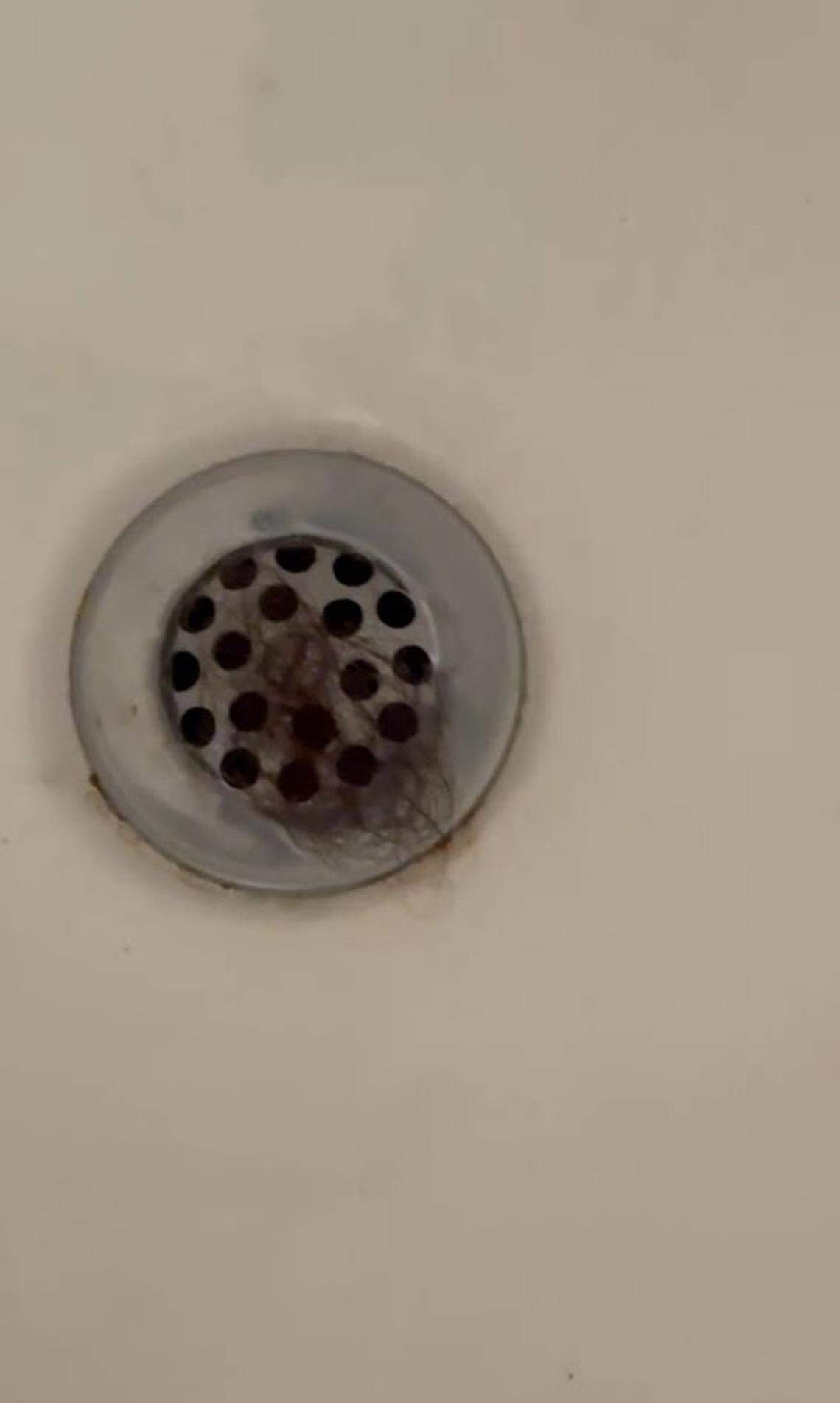 On the first day of their seven-night stay at the “Warwick Mansion” in Kansas City, Rebecca King of Overland Park said her family found a stranger’s hair in the drain of one of the house’s tubs.
