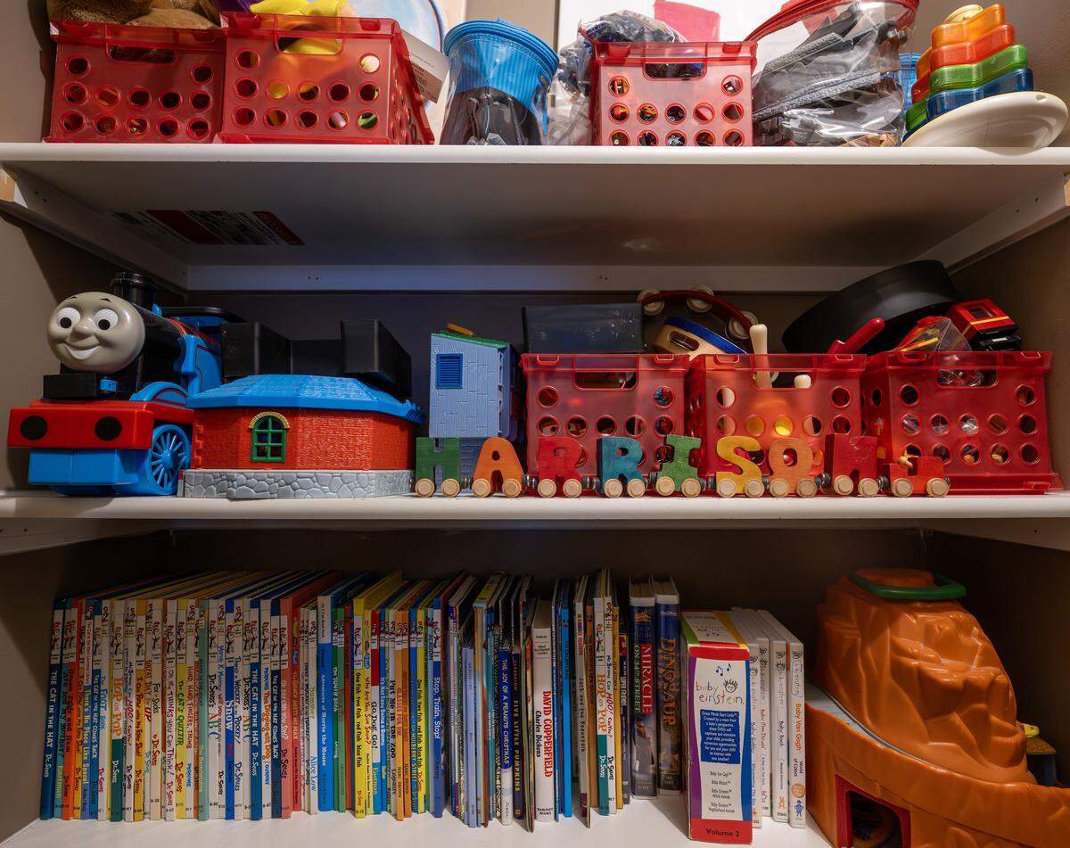 Harrison Long's collection of Dr. Seuss books sits on a shelf alongside toys in storage bins in the Long home on Tuesday, Feb. 10, 2026, in Parkville.
