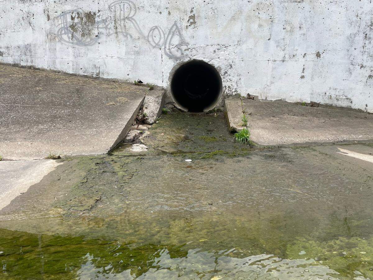 Water from the Unified Government’s combined system flows into Jersey Creek through an area outfall on the afternoon of June 30, 2025. Outfalls deposit storm or sewer water from area pipes into local rivers and streams.