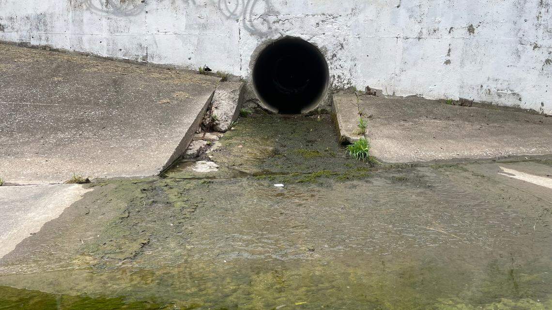 Water from the Unified Government’s combined system flows into Jersey Creek through an area outfall on the afternoon of June 30, 2025. Outfalls deposit storm or sewer water from area pipes into local rivers and streams.
