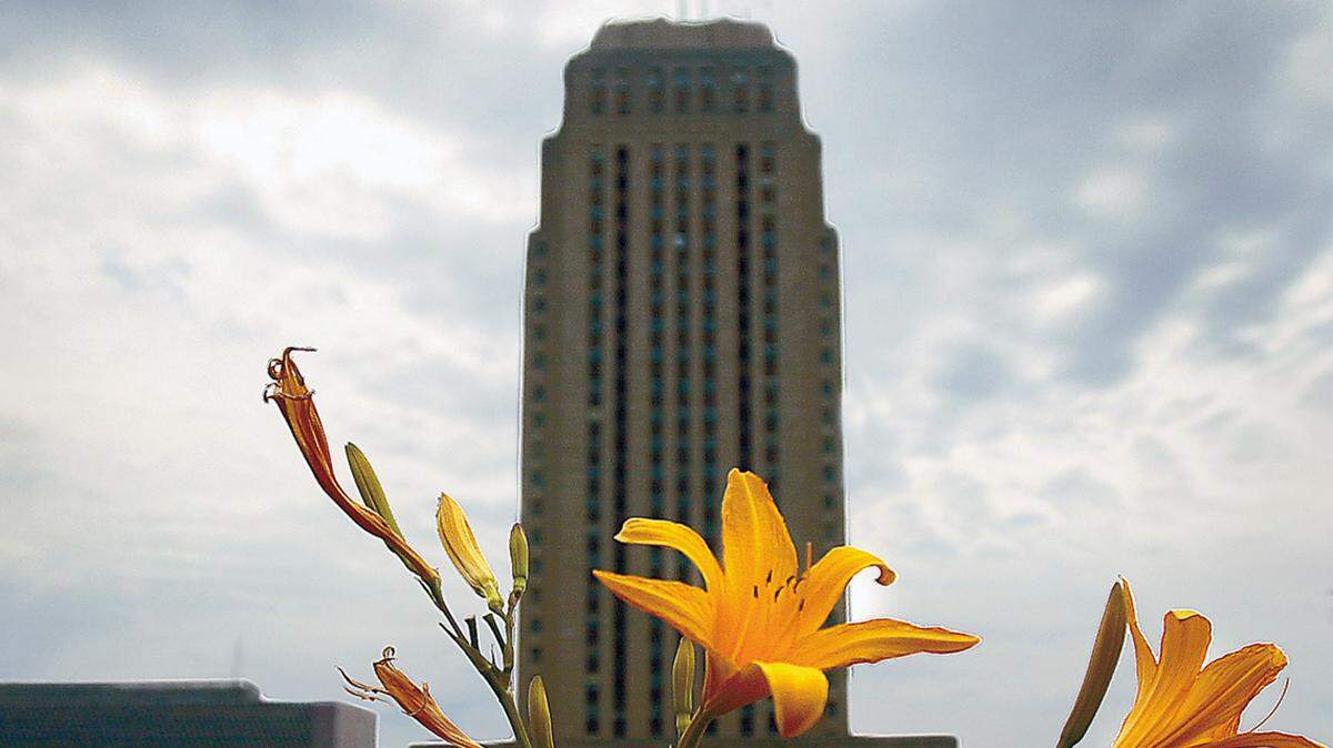 The cheerful orange blossoms are from Eurasia. How about filling your yard with native plants instead?