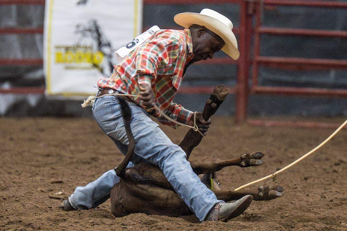 Johnny Ray Howard attempts to hogtie a calf during the Black Rodeo USA show at Hale Arena in Kansas City on Saturday, held to showcase rodeo skills from all BIPOC riders.