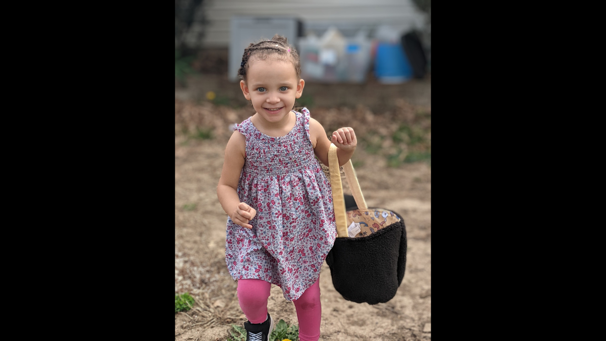 Aaliyah McShann, 3, loved to sing and dance and watch Cocomelon videos, a relative said.