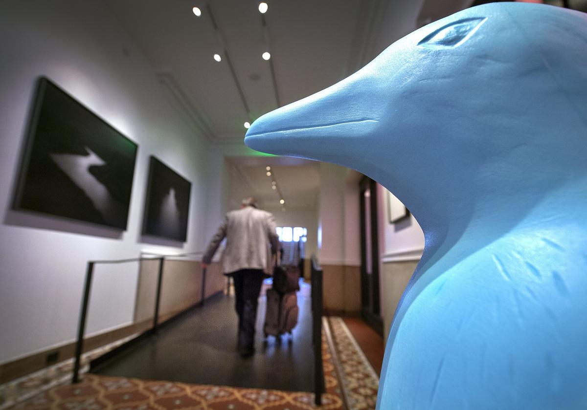 Sky blue penguins made by Italy's Cracking Art group can be spotted throughout the new 21c Museum Hotel Kansas City, a boutique hotel and contemporary art museum in the former Savoy Hotel building downtown.