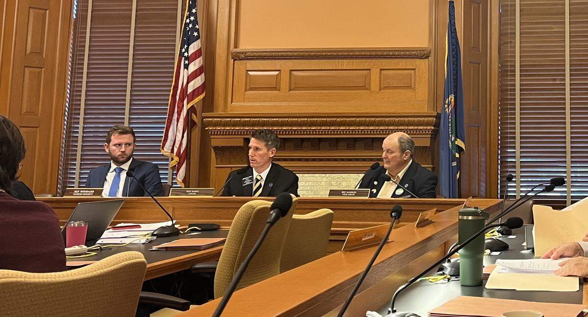 Rep.  Brandon Woodard, Steve Howe and Clarke Sanders listen to testimony on DEI statements in college hiring. 