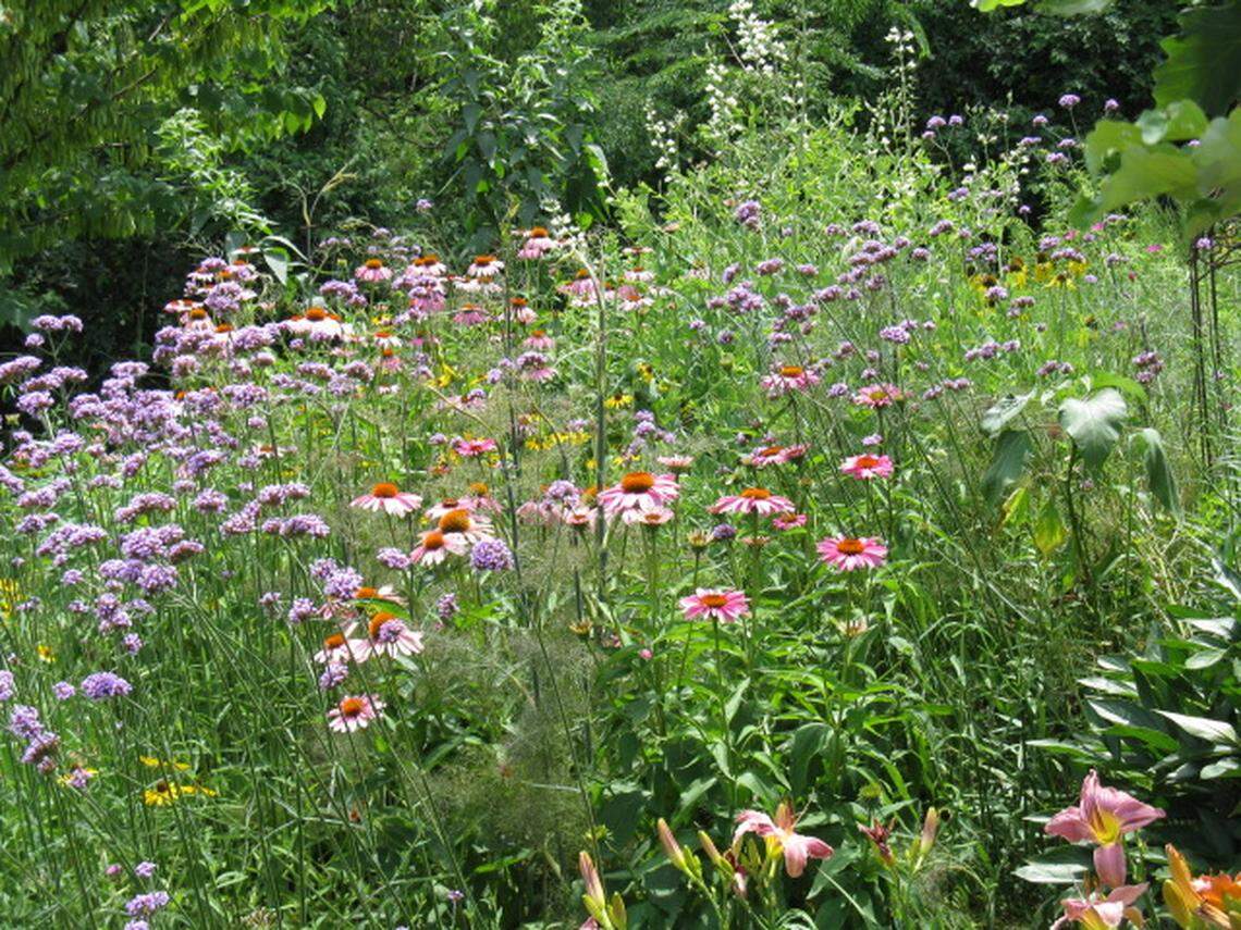 In 2020, gardeners gave up on carefully pruned gardens and let nature take over.