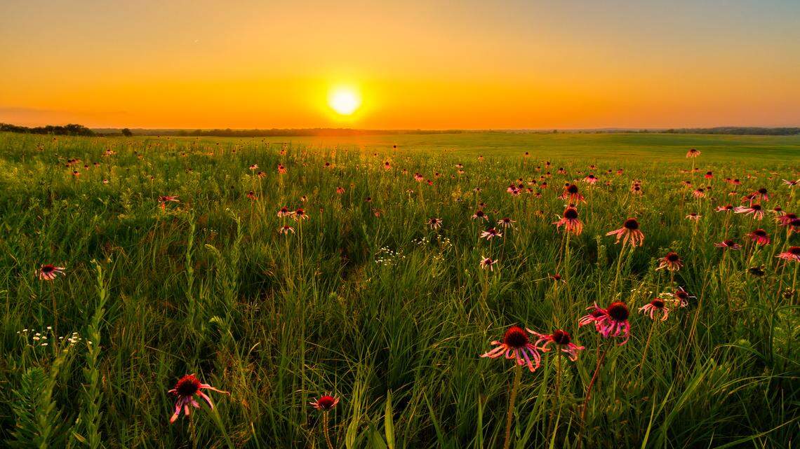 Enjoying long days? Here’s how fast Illinois will lose daylight following summer solstice